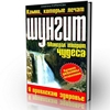 До Гроссман Леонид - Достоевский (Аудиокнига) пожал